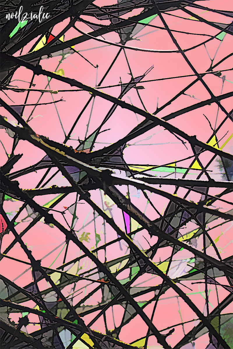 abstract: branches against a pink sky