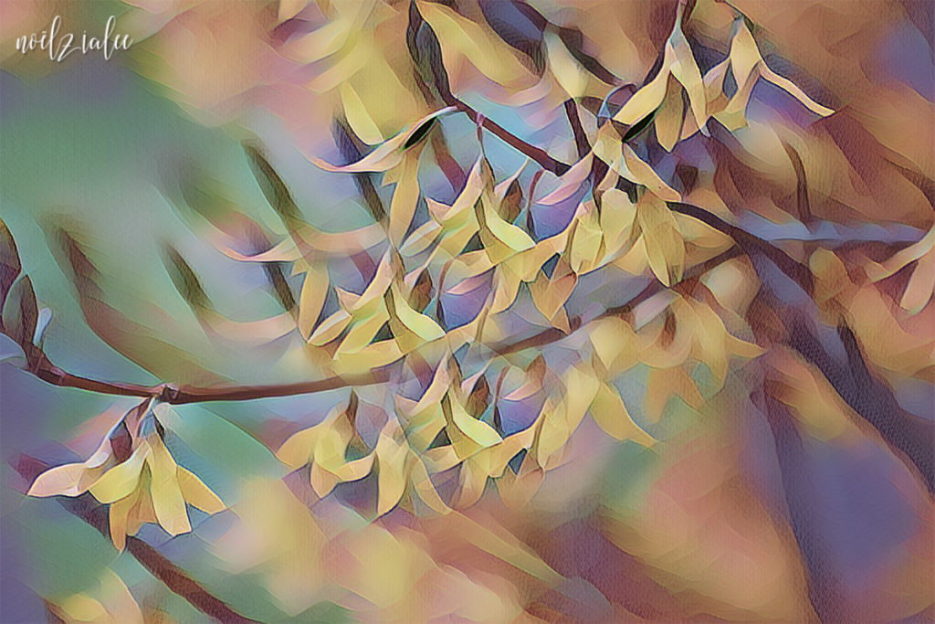 neon forsythia